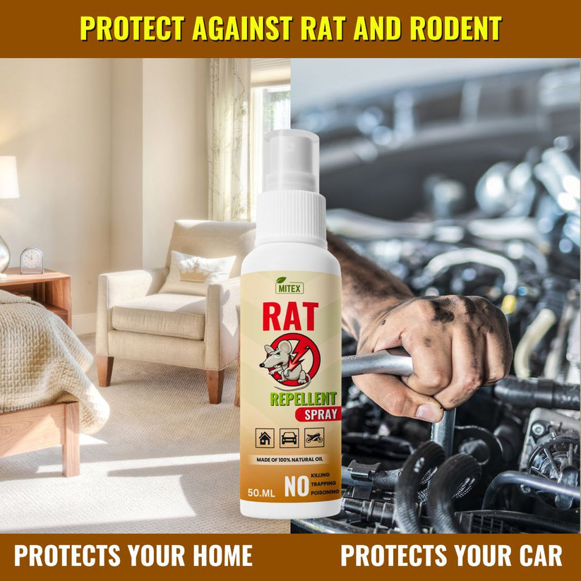RATGAURD™ - RAT REPELLENT SPRAY (BUY 1 GET 2 FREE) (PACK OF 3)